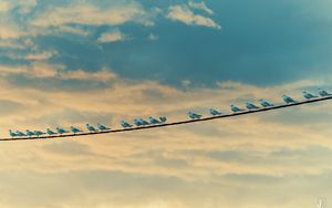 Preview wallpaper seagulls, birds, wire, sky