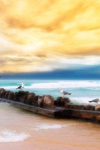 Preview wallpaper seagulls, logs, birds, coast, sea, sky, yellow, blue, beach, horizon