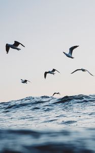 Preview wallpaper seagulls, ocean, waves, minimalism