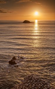 Preview wallpaper seagulls, rocks, sunset, horizon