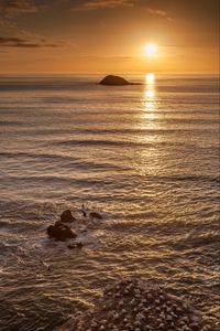 Preview wallpaper seagulls, rocks, sunset, horizon