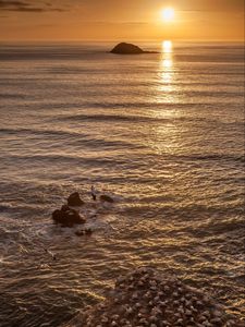 Preview wallpaper seagulls, rocks, sunset, horizon