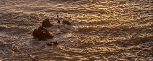 Preview wallpaper seagulls, rocks, sunset, horizon