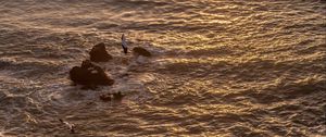 Preview wallpaper seagulls, rocks, sunset, horizon