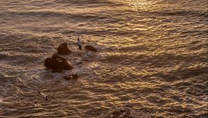 Preview wallpaper seagulls, rocks, sunset, horizon