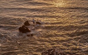 Preview wallpaper seagulls, rocks, sunset, horizon