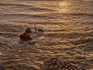 Preview wallpaper seagulls, rocks, sunset, horizon