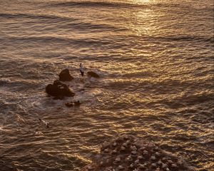 Preview wallpaper seagulls, rocks, sunset, horizon