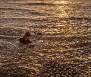 Preview wallpaper seagulls, rocks, sunset, horizon