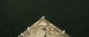 Preview wallpaper seagulls, sea, shore