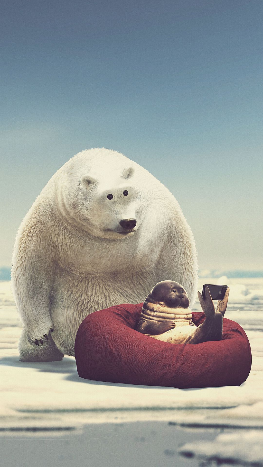 Download wallpaper 1080x1920 seal, bear, phone, funny, art samsung ...