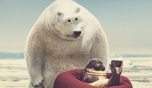 Preview wallpaper seal, bear, phone, funny, art