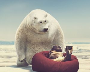 Preview wallpaper seal, bear, phone, funny, art