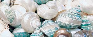 Preview wallpaper seashell, marine, beach, coast
