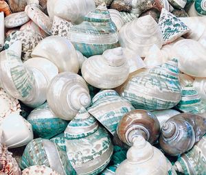 Preview wallpaper seashell, marine, beach, coast