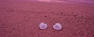 Preview wallpaper seashells, beach, heart, sand, pink