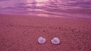 Preview wallpaper seashells, beach, heart, sand, pink