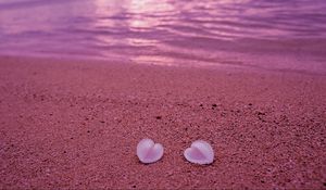 Preview wallpaper seashells, beach, heart, sand, pink