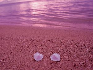 Preview wallpaper seashells, beach, heart, sand, pink