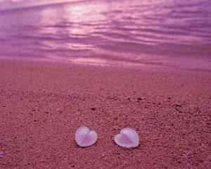 Preview wallpaper seashells, beach, heart, sand, pink