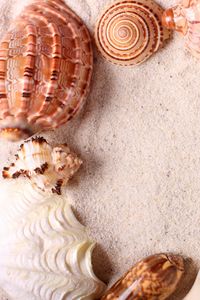 Preview wallpaper seashells, frame, sand