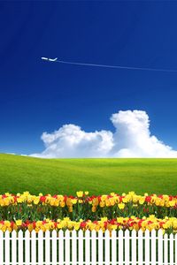 Preview wallpaper serenity, tulips, fence, airplane, clouds