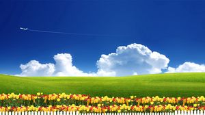 Preview wallpaper serenity, tulips, fence, airplane, clouds