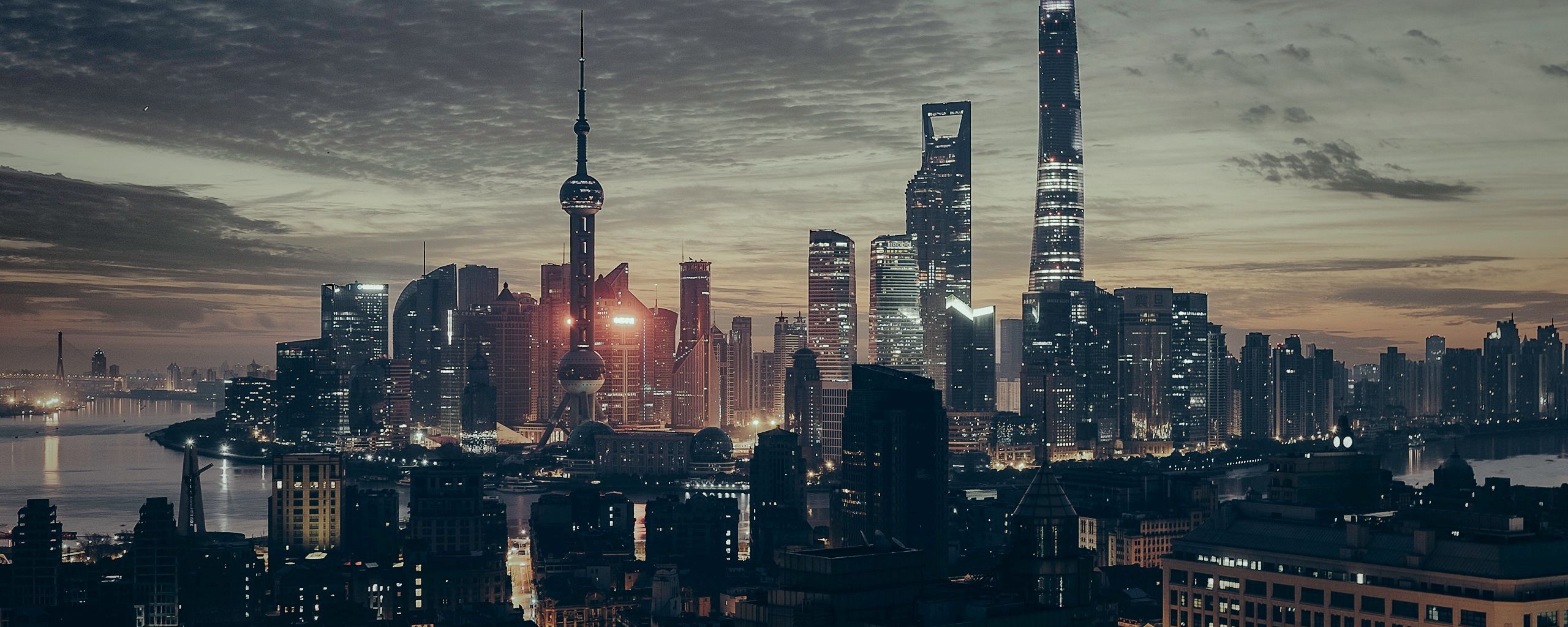 shanghai skyline night panorama