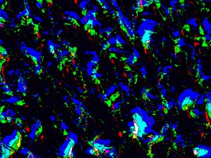 Preview wallpaper shape, glow, blue, patterns, texture