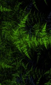 Preview wallpaper shapes, darkness, green
