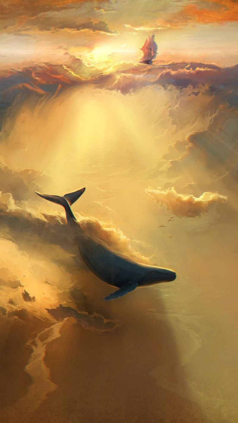 800x1420 Wallpaper shark, dolphin, sea, art, underwater world