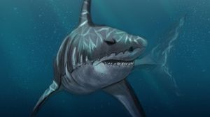 Preview wallpaper shark, fish, predator, under water, sea, art