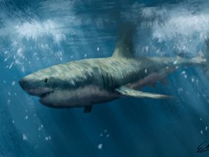 Preview wallpaper shark, predator, sea, underwater, art