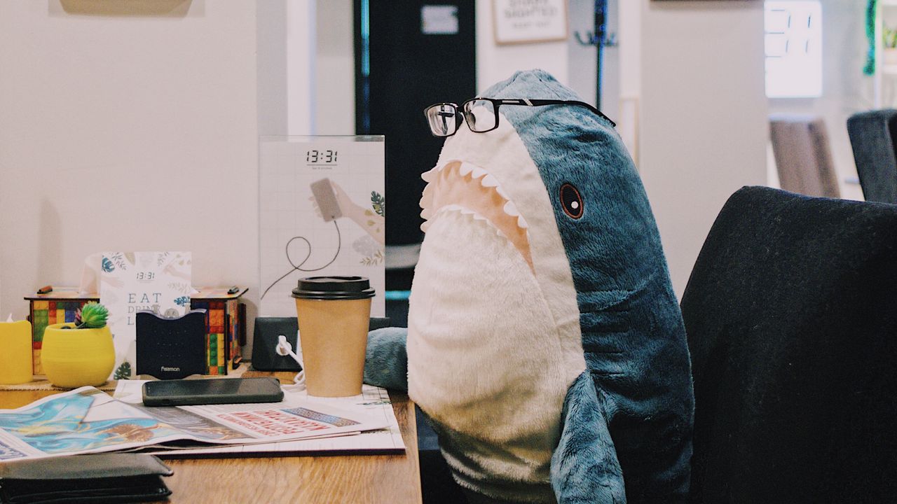 Wallpaper shark, toy, humor, work, office