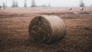 Preview wallpaper sheaf, hay, straw, field, grass
