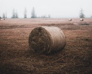 Preview wallpaper sheaf, hay, straw, field, grass