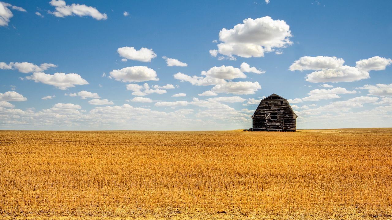 Wallpaper shed, field, hay, culture, clouds, agriculture