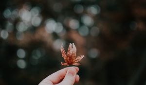 Preview wallpaper sheet, autumn, hand, blur, bokeh, glare