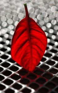 Preview wallpaper sheet, poinsettia, red, grid, metallic, macro, bokeh