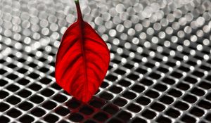 Preview wallpaper sheet, poinsettia, red, grid, metallic, macro, bokeh