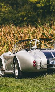 Preview wallpaper shelby, cobra, rear view, auto