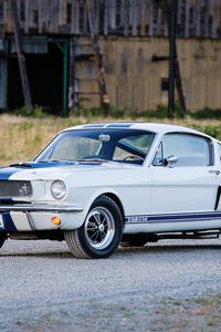 Preview wallpaper shelby, ford, mustang, gt350, side view