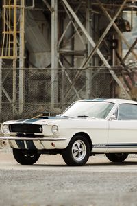 Preview wallpaper shelby, gt350, ford mustang, 1966