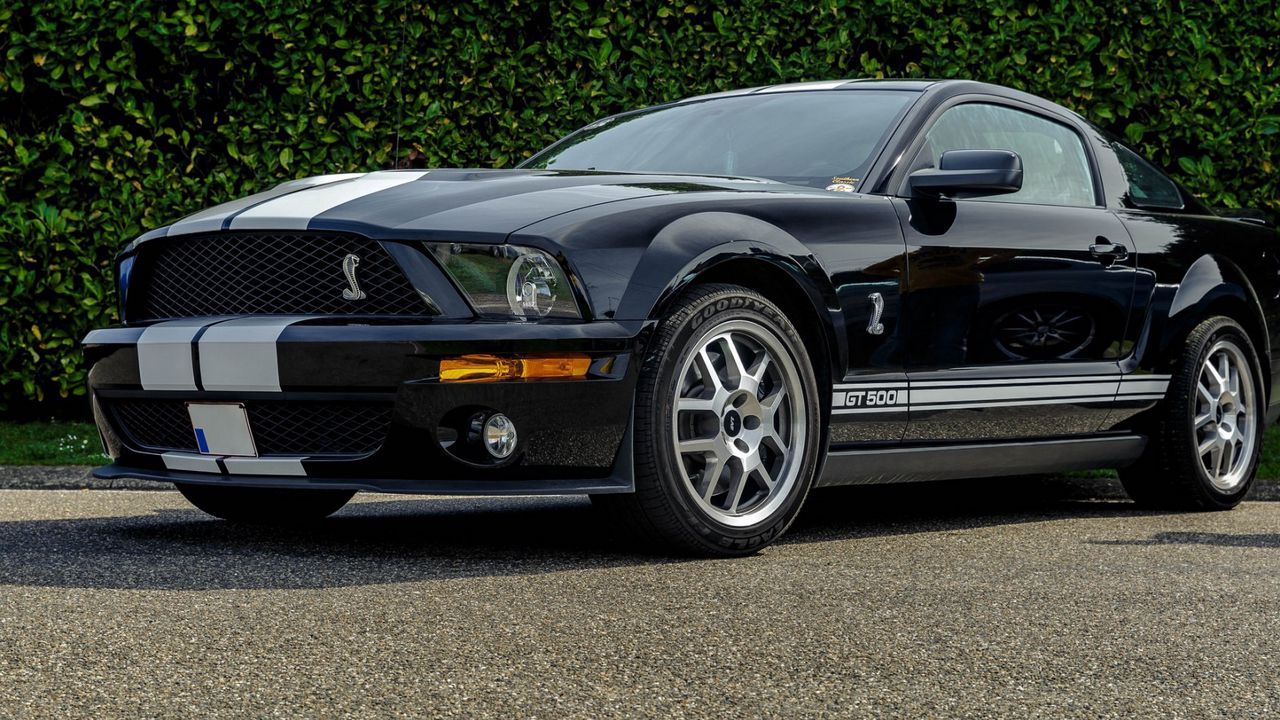 Wallpaper shelby, gt500, side view