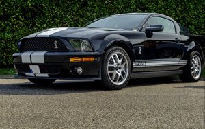 Preview wallpaper shelby, gt500, side view