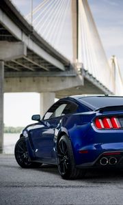 Preview wallpaper shelby mustang, mustang, car, muscle car, blue, back view