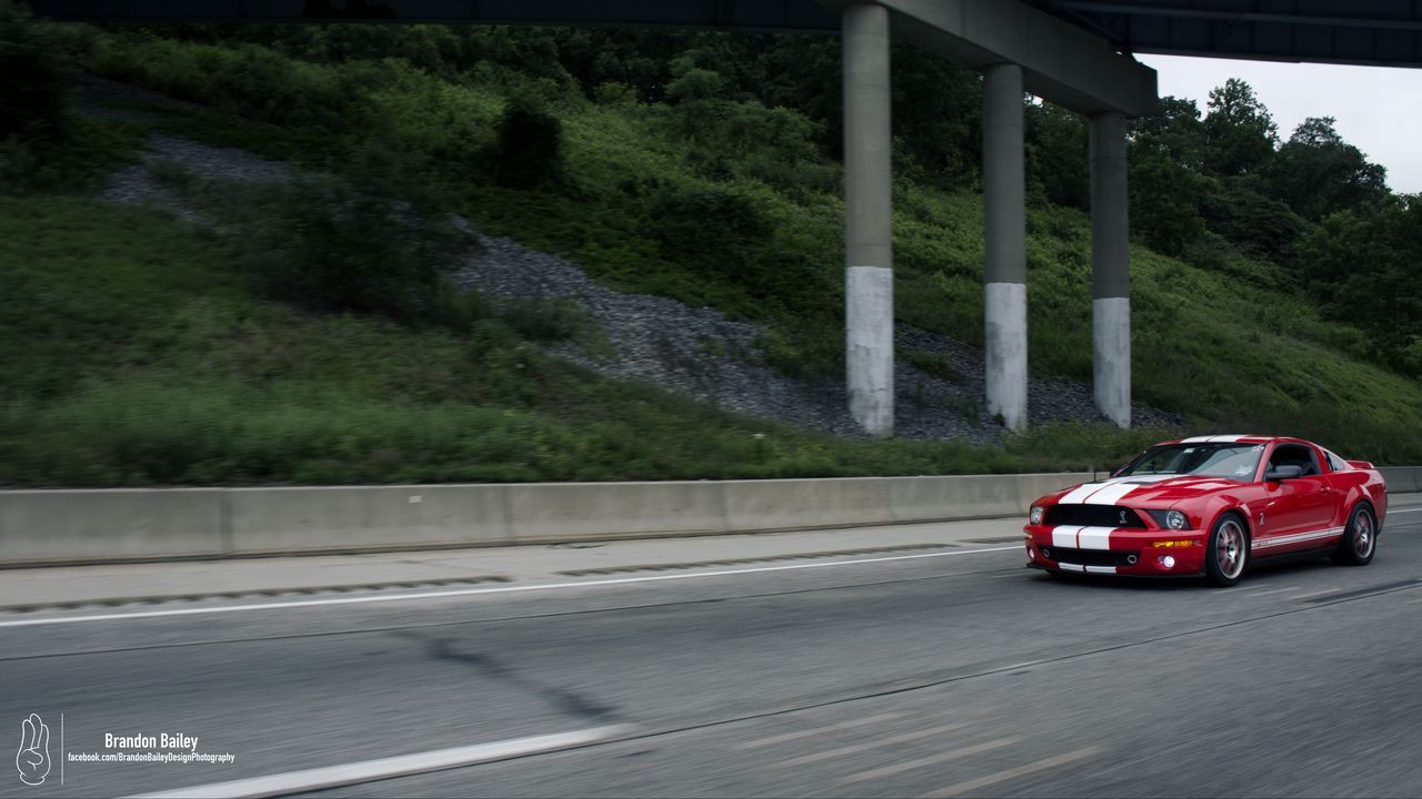Wallpaper shelby mustang, mustang, car, muscle car, red, road, speed