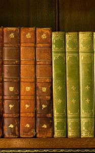 Preview wallpaper shelf, library, roots, books