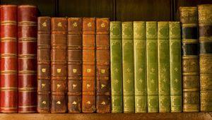 Preview wallpaper shelf, library, roots, books