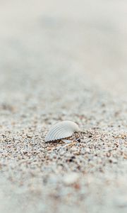Preview wallpaper shell, beach, sand